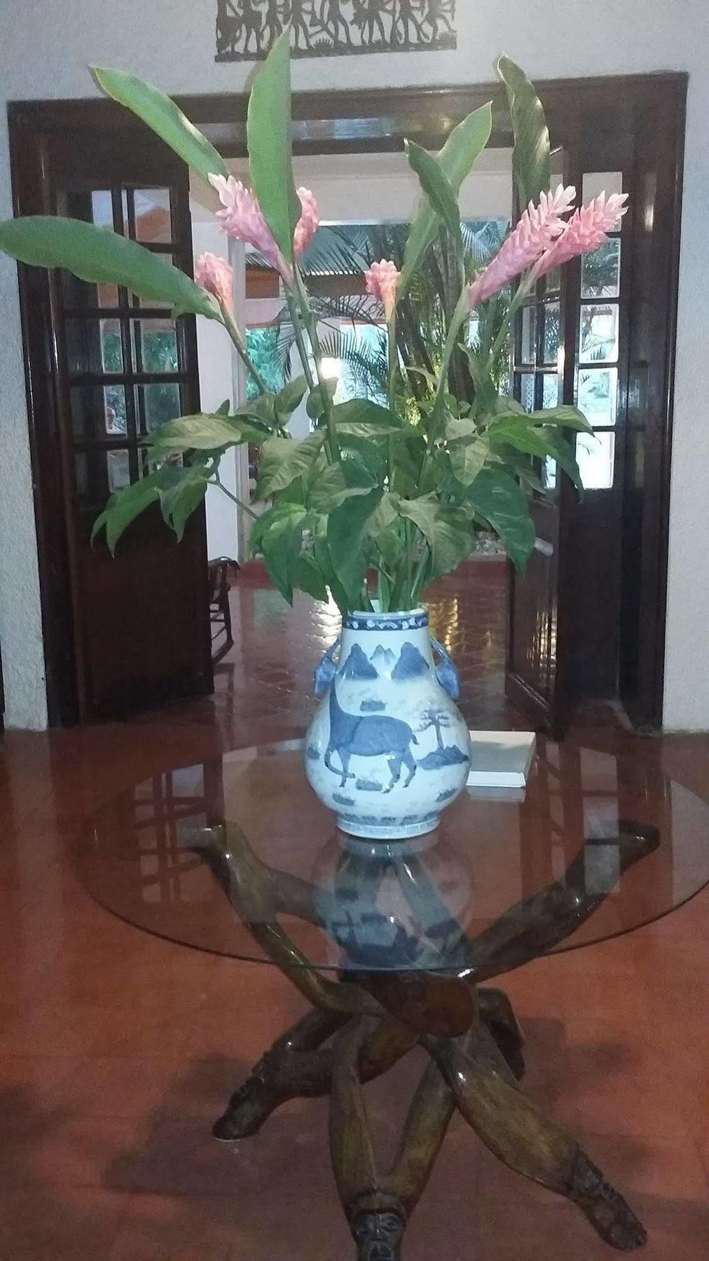Hotel Mont Joli Cap-Haïtien Dış mekan fotoğraf